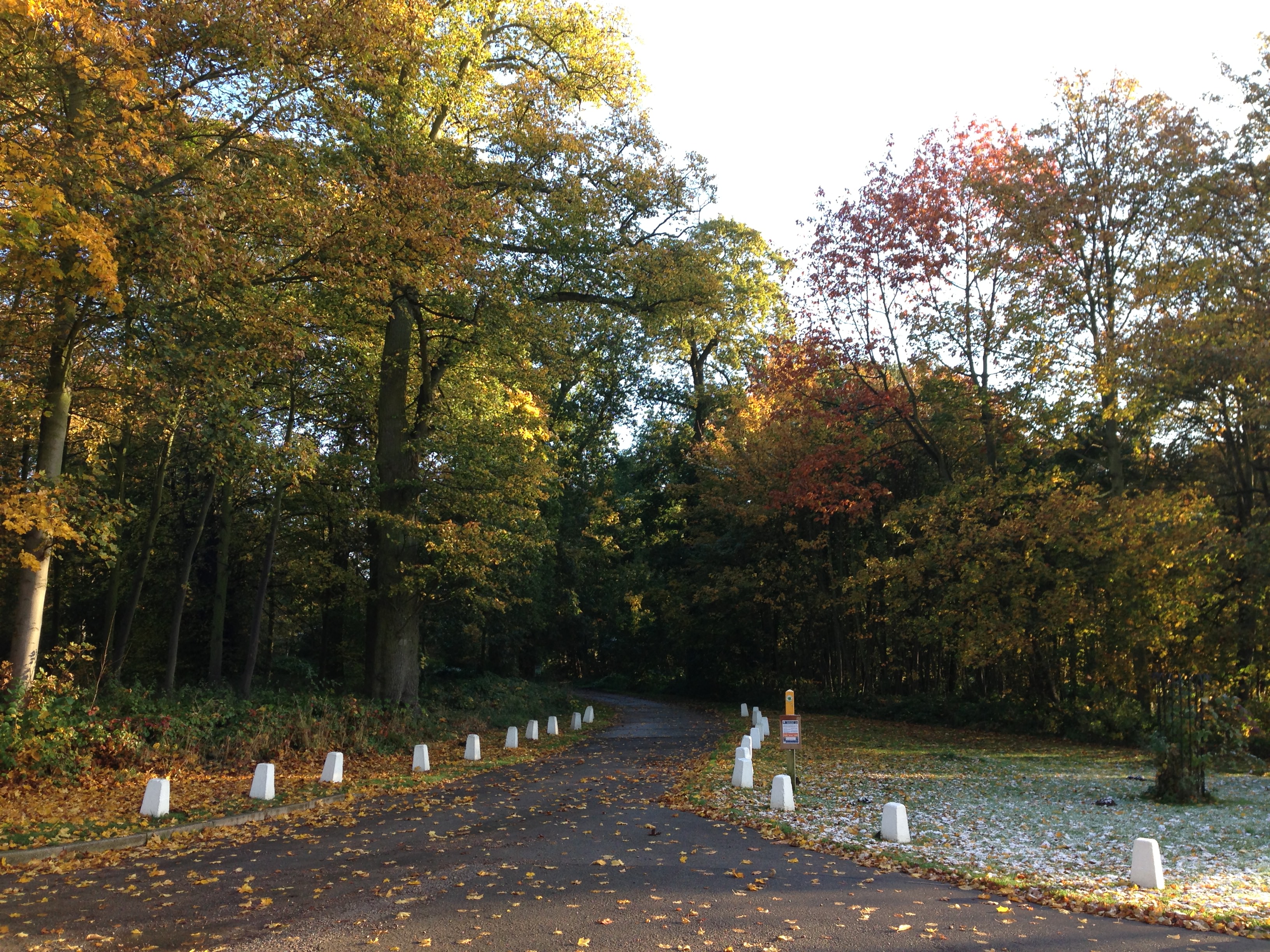 iphone 5 camera review